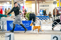 20260327-DSC04695