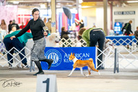 20260327-DSC04699