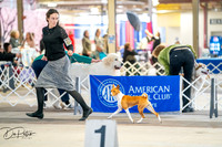 20260327-DSC04702
