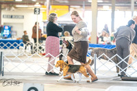 20260327-DSC04722