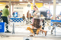 20260327-DSC04726