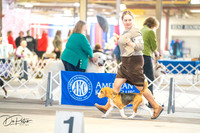 20260327-DSC04739