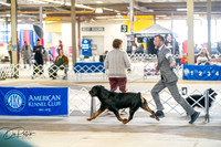 20260327-DSC04836