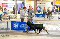 20260327-DSC04818