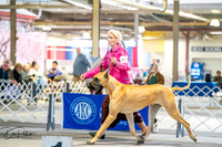 20260327-DSC04794