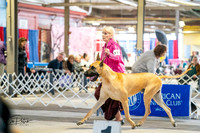 20260327-DSC04799