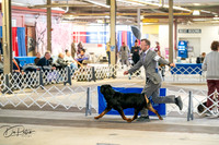 20260327-DSC04845