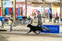 20260327-DSC04849