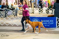 20260327-DSC04888