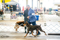 20260327-DSC04899