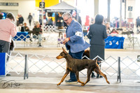 20260327-DSC04903