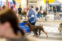 20260327-DSC04911