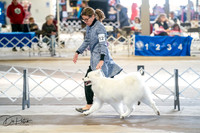20260327-DSC04958