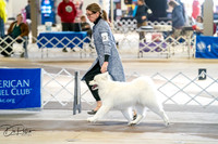 20260327-DSC04962