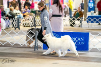 20260327-DSC04974