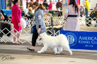 20260327-DSC04978