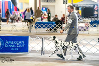 20260327-DSC05116