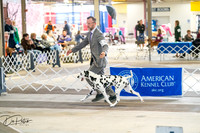 20260327-DSC05066