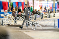 20260327-DSC05075