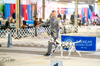 20260327-DSC05137