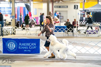 20260327-DSC05158