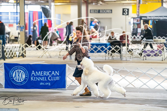 20260327-DSC05158