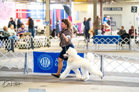 20260327-DSC05163