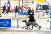 20260327-DSC05180