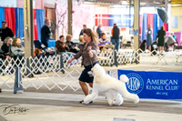 20260327-DSC05172
