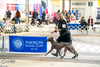 20260327-DSC05185