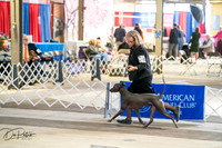 20260327-DSC05194