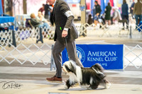 20260327-DSC05211