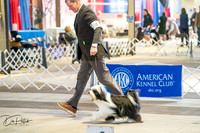 20260327-DSC05213