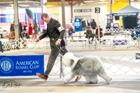 20260327-DSC05279