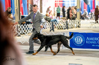 20260327-DSC05258