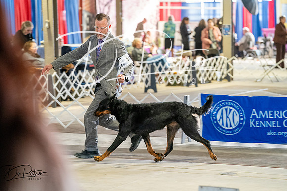 20260327-DSC05258