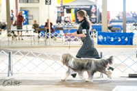 20260327-DSC05295
