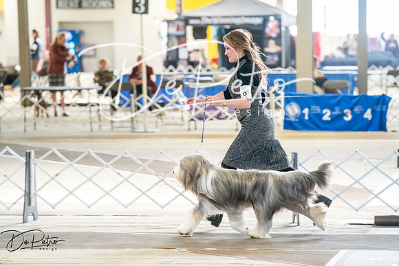 20260327-DSC05295