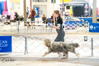 20260327-DSC05299