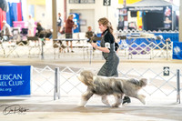 20260327-DSC05300