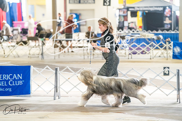 20260327-DSC05300