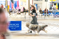 20260327-DSC05304