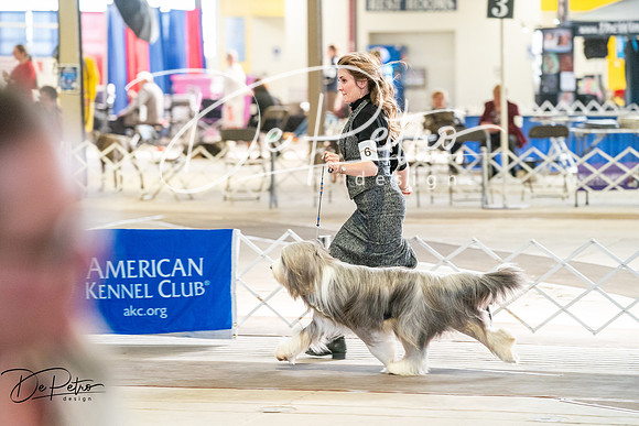 20260327-DSC05304