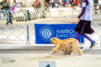 20260327-DSC05314
