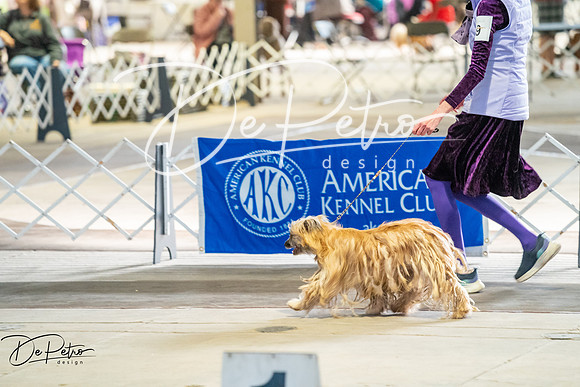 20260327-DSC05314