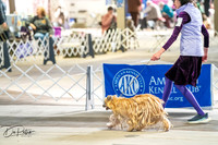 20260327-DSC05318