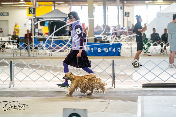 20260327-DSC05352