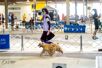 20260327-DSC05355