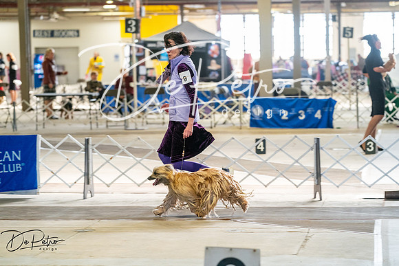 20260327-DSC05355