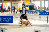 20260327-DSC05358